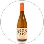 Carter Mollenhauer Aurora Semillón