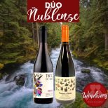 Dúo Ñublense