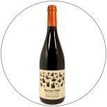 carter mollenhauer aurora de itata cinsault