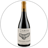 Leo Erazo Canto a lo humano