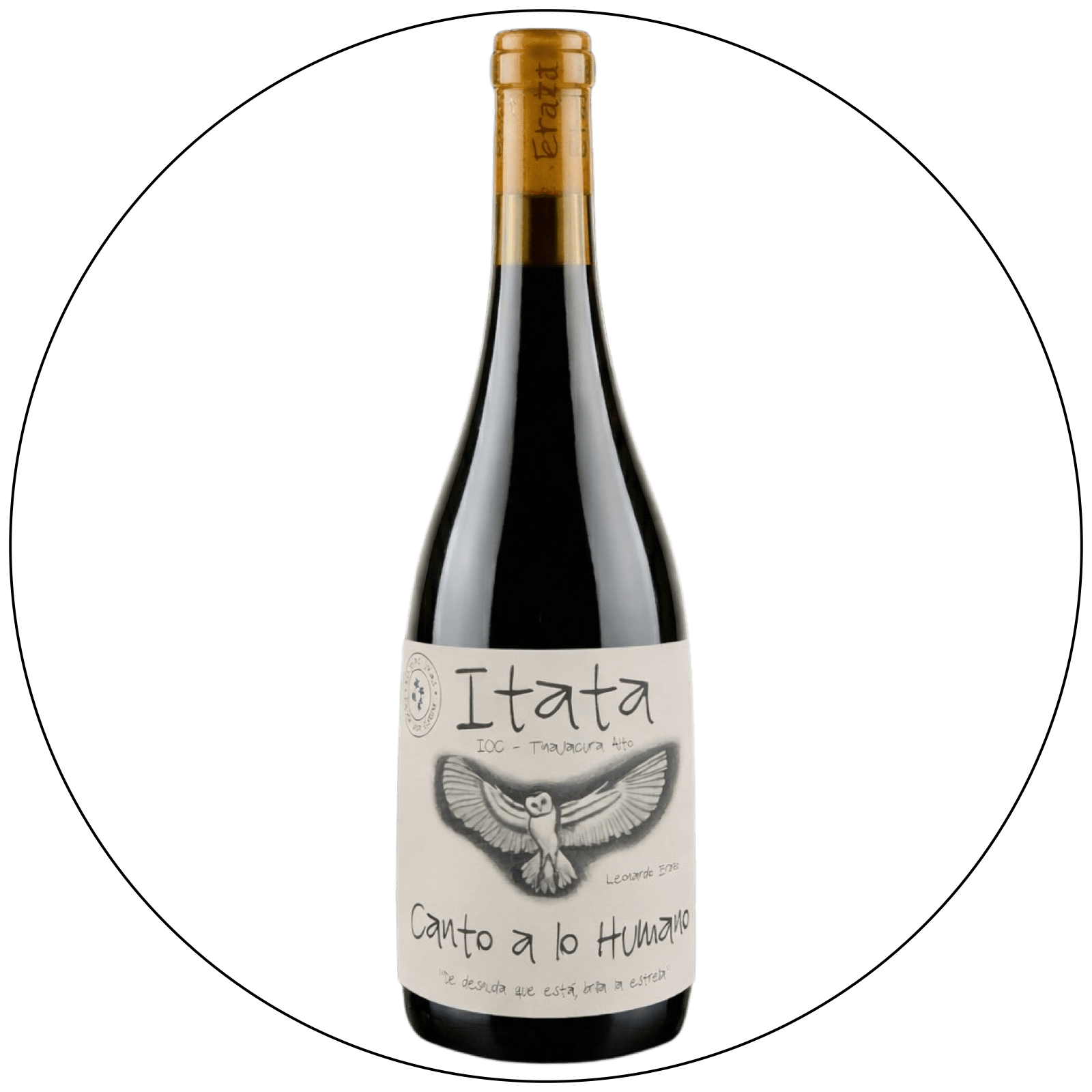 Leo Erazo Canto a lo Humano